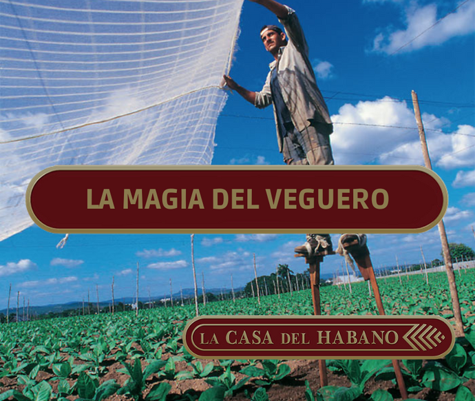 EL TOQUE MÁGICO DEL VEGUERO