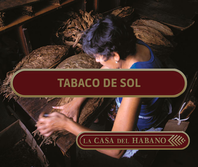 TABACO DE SOL PARA: TRIPA Y CAPOTE